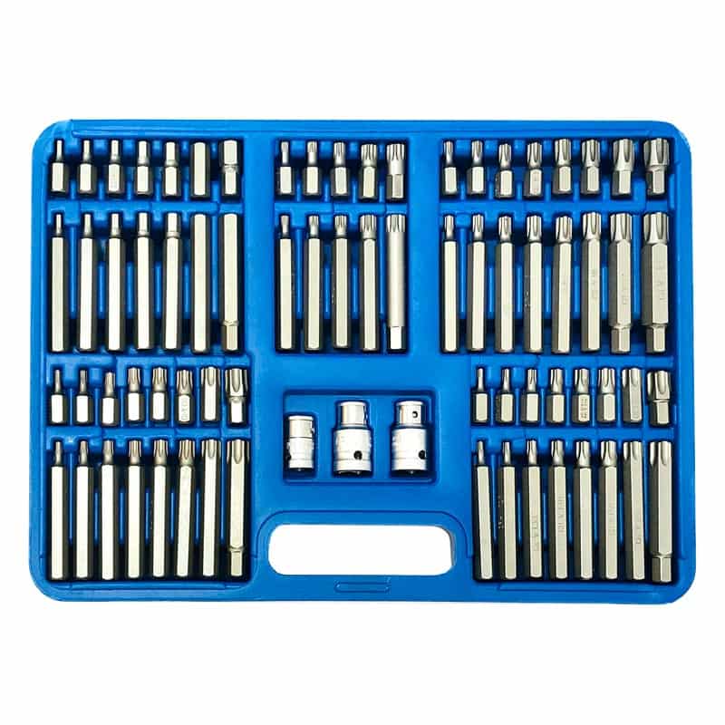 Биты SPLINE RIBE HEX TORX в наборе 75 пр.